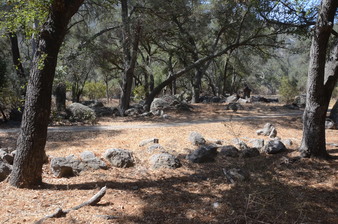 Enlarge photo 32