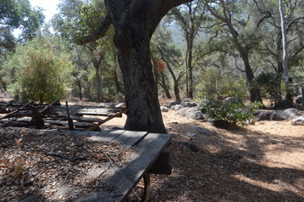 Enlarge photo 35