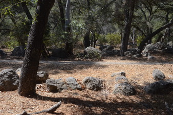 Enlarge photo 38