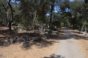 Enlarge photo 42