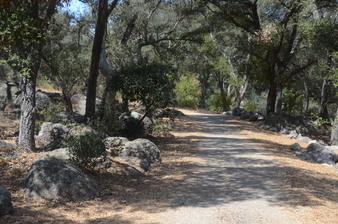 Enlarge photo 43