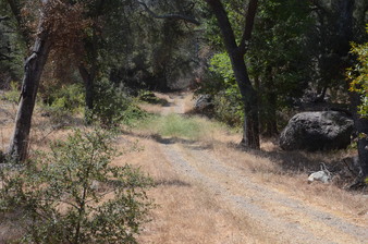 Enlarge photo 49