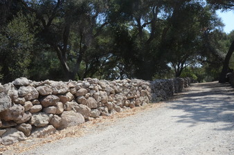 Enlarge photo 57