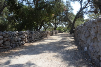 Enlarge photo 58