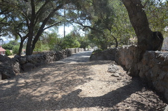 Enlarge photo 61