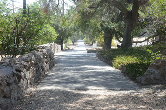 Enlarge photo 63