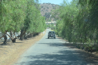 Enlarge photo 66
