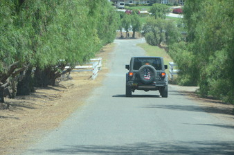 Enlarge photo 67
