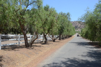 Enlarge photo 68