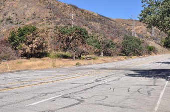 Enlarge photo 5