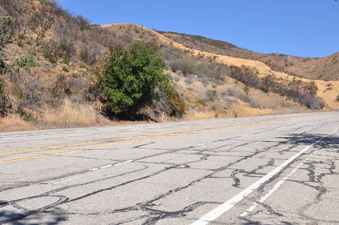 Enlarge photo 27
