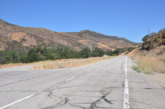 Enlarge photo 41