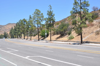 Enlarge photo 38