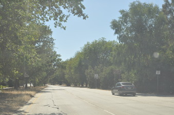Enlarge photo 21