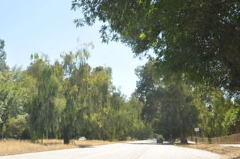 Enlarge photo 23