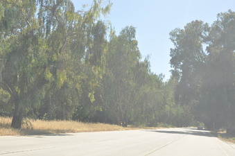 Enlarge photo 24