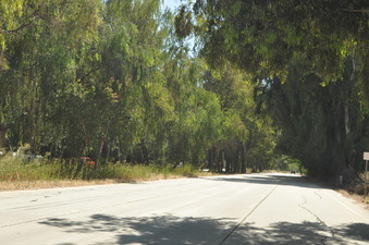 Enlarge photo 25