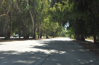 Enlarge photo 26