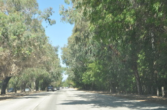 Enlarge photo 28