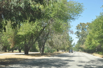Enlarge photo 29