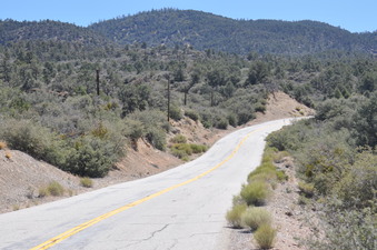 Enlarge photo 12