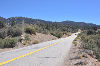 Enlarge photo 13