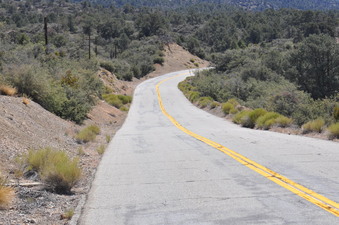 Enlarge photo 14