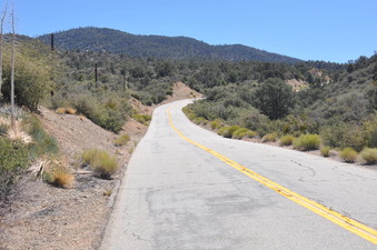 Enlarge photo 15