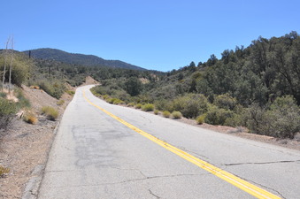 Enlarge photo 16