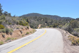 Enlarge photo 19
