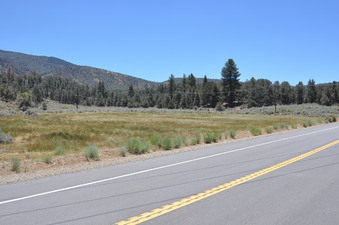 Enlarge photo 19
