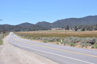 Enlarge photo 32