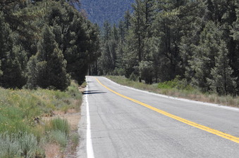 MIL POTRERO ROAD