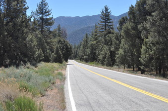 Enlarge photo 2