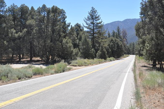 Enlarge photo 10