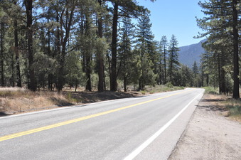 Enlarge photo 13
