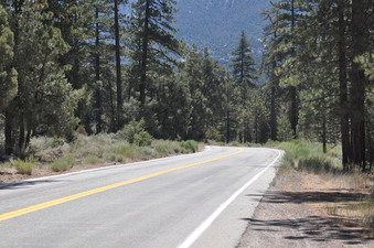 Enlarge photo 14