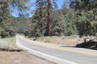 Enlarge photo 18