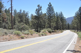 Enlarge photo 22