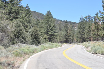 Enlarge photo 25