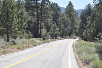 Enlarge photo 28