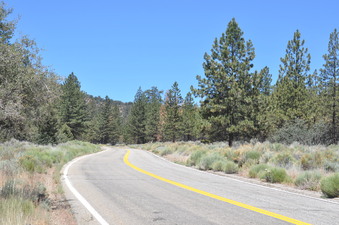 Enlarge photo 32