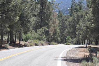 Enlarge photo 33