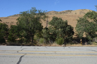 Enlarge photo 35