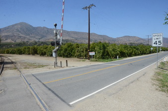 Enlarge photo 15