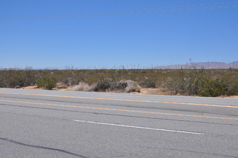 Enlarge photo 73