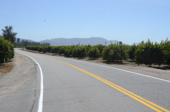 Enlarge photo 1