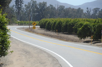 Enlarge photo 6