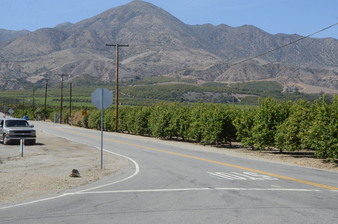 Enlarge photo 12