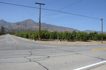 Enlarge photo 14